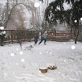IMG_3646.JPG
