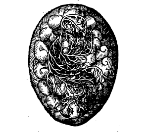 [image20.png]