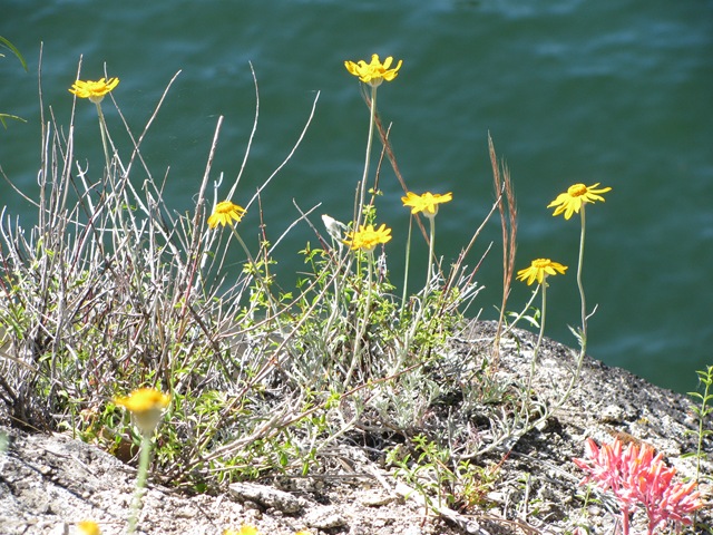 [IMG_87634.jpg]