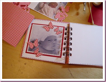 Mini baby Book