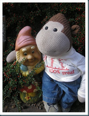 Monkey with garden gnone Monkey with garden gnone