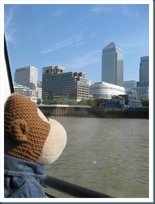Monkey Looking At Canary Wharf