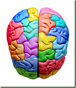multi-coloured-brain