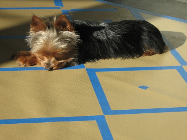 [Floorcloth and Esther 001[2].jpg]
