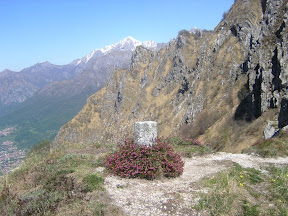 Ancora in cresta
