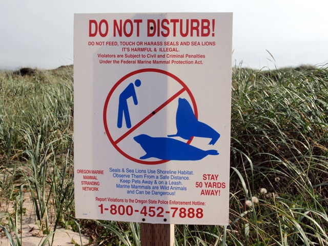 [P7220007[2].jpg]