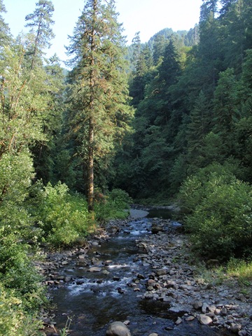 [P8050025[2].jpg]