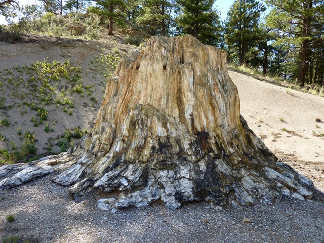 [P1020218[2].jpg]