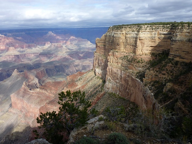 [P1030109[5].jpg]