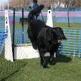 Weekend Training - Feb 08