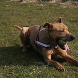 Playtime - 7th March 2010