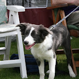Drax - May 3-5 2008