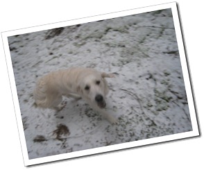 IMG_3433 IMG_3433