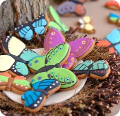 Butterfly Shape Biscuits