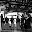 Milani_20080928_1174.JPG