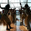 Milani_20080928_0994.JPG