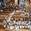 Milani_20080928_0829.JPG