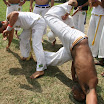 Milani_1155.JPG