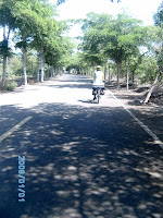 PICT0344.JPG Photo