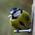 Imgp3230_2