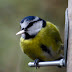 Imgp3230_2