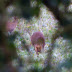 Imgp3502_2