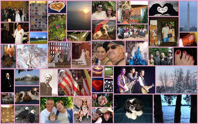 [Collages113.jpg]
