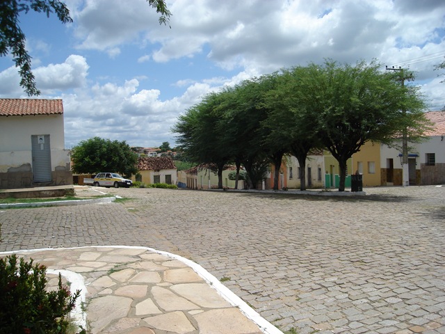 [DSC02529.jpg]