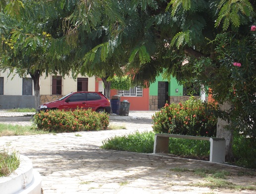 DSC02531