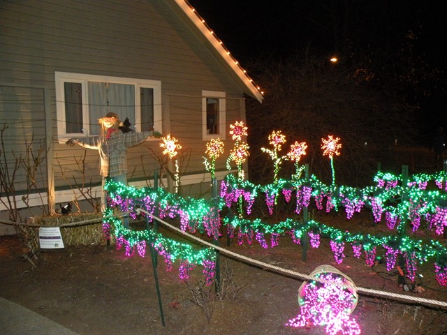 [Christmas Lights 007[3].jpg]