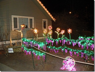 Christmas Lights 007