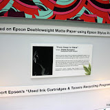 IMG_8176 (Large).JPG