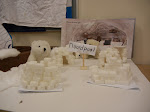 DSCN0887.JPG