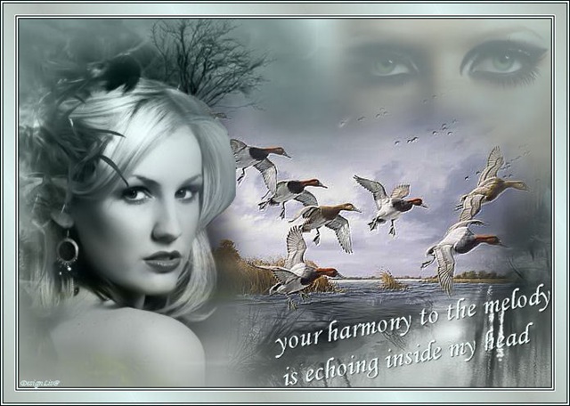 [HarmonyToTheMelody5.jpg]