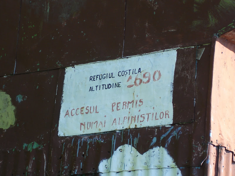 Costila