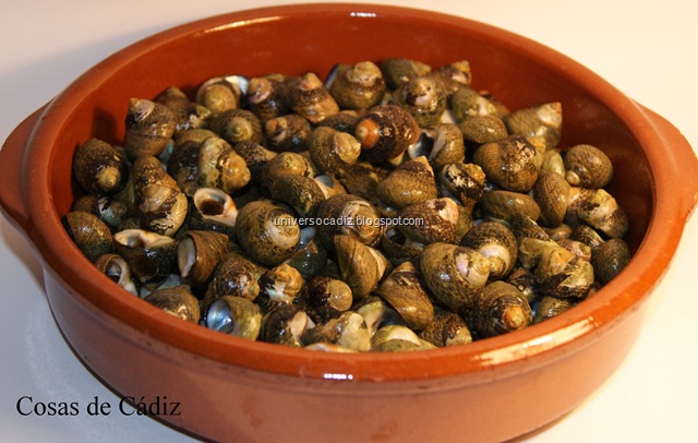 [Burgaillos-Cádiz-4[7].jpg]