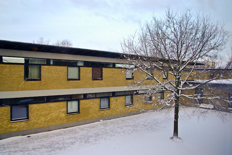 _2009-12-17.jpg