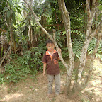 Keluargaku