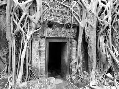 Photo of  CA - Petits temples, Ta Prohm, Ta keo i Phnom Bakheng amb bicicleta