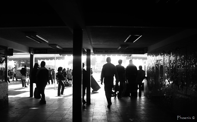 [P1050359[11].jpg]