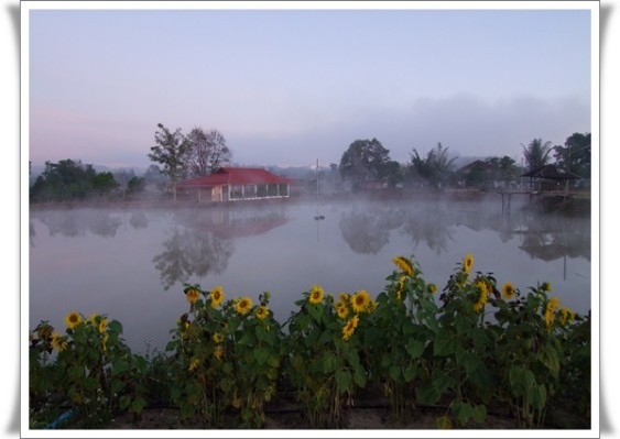 [phunumsai3[5].jpg]