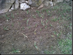 IMG00027-20100207-1326