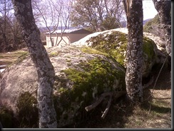 IMG00037-20100228-1338