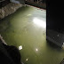 DSC01361.JPG