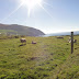 Slea Head