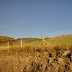 On the Road- Dingle