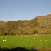 DSC01794.JPG