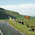 Cliffs of Moher