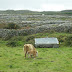 Inismor