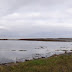 Seal Colony, Inismor